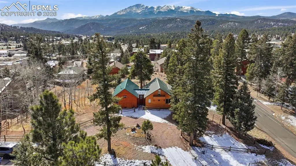 311 E Bowman Avenue, Woodland Park, CO 80863 - #1