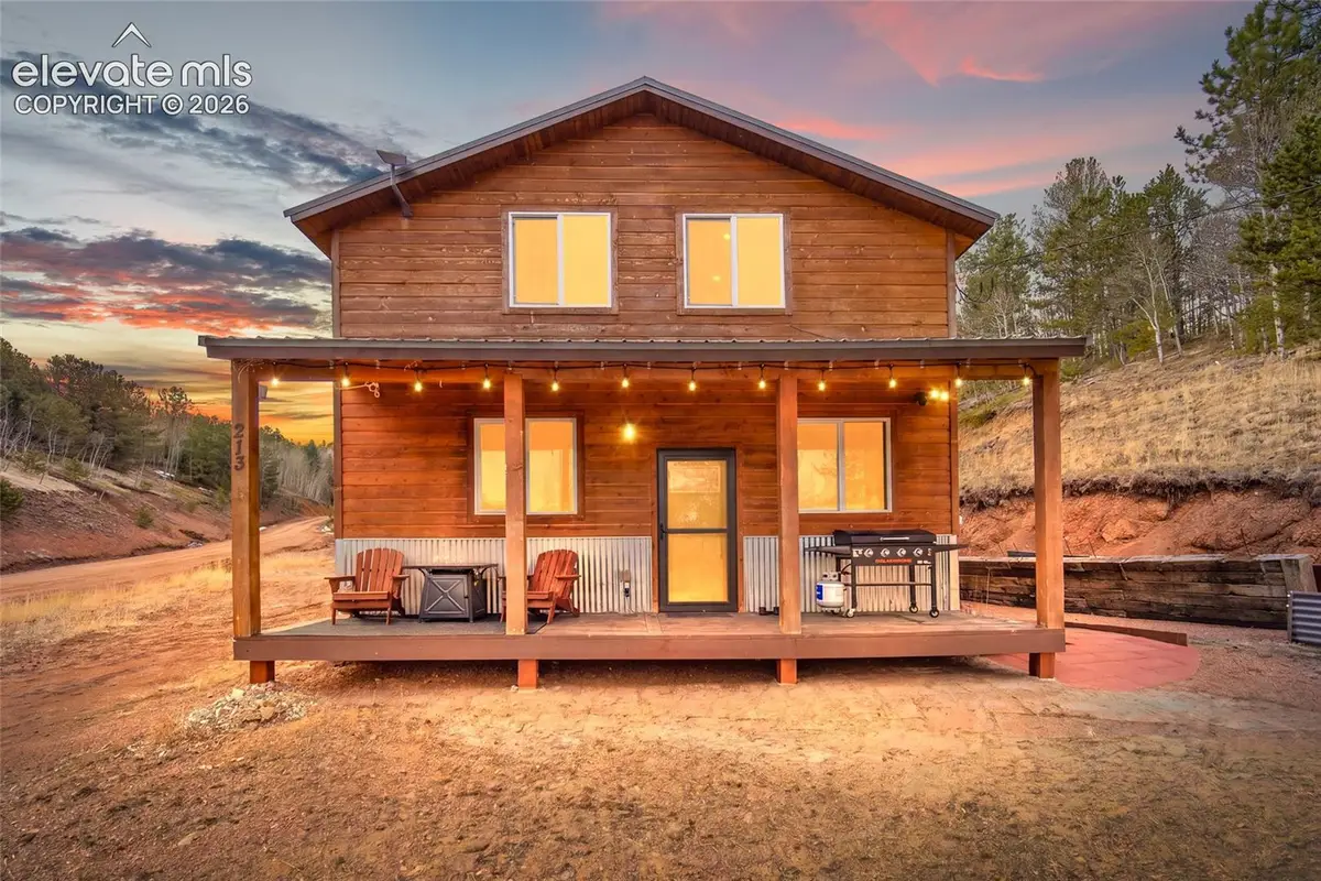 213 Willow Road, Divide, CO 80814 - #1