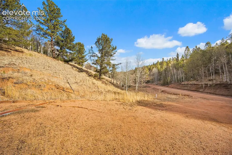 213 Willow Road, Divide, CO 80814 - #3