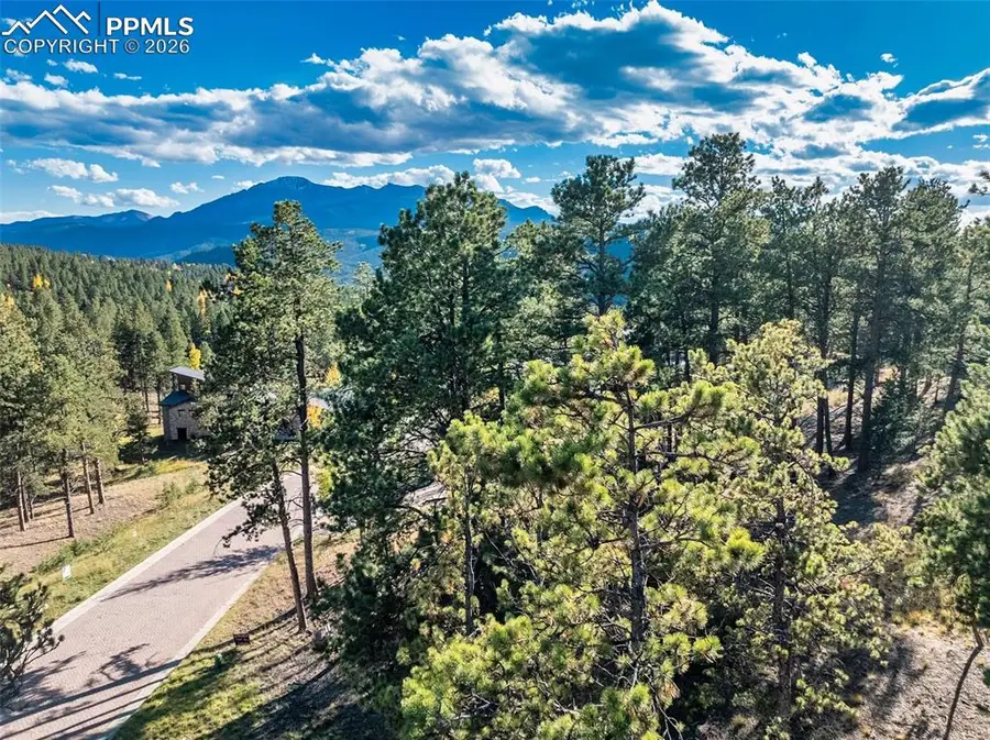 270 Thunder Ridge Drive, Woodland Park, CO 80863 - #3