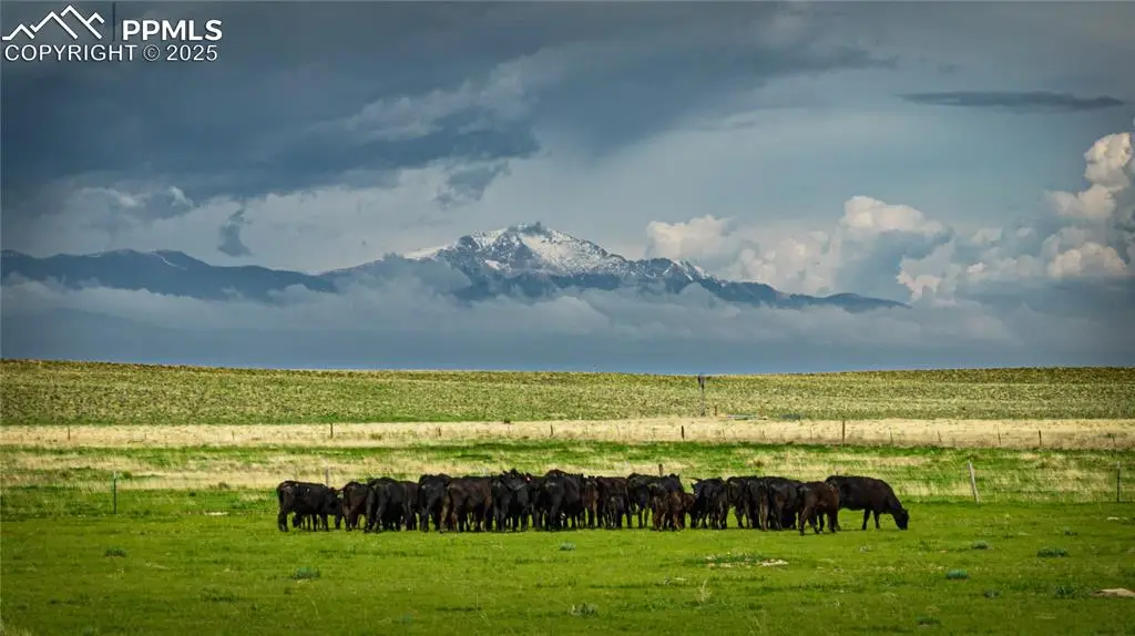 Squirrel Creek Road, Colorado Springs, CO 80928 - Image #1