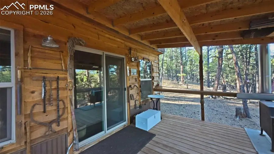 163 Ouray Road, Florissant, CO 80816 - #3