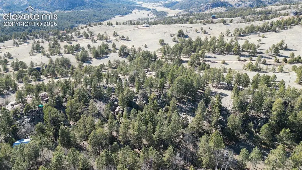 421 Crescent Drive, Florissant, CO 80816 - #1