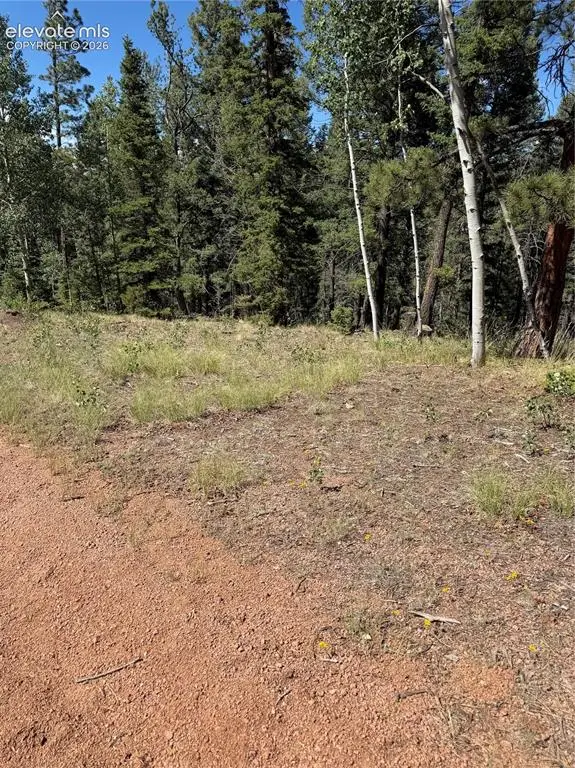1007 Derby Drive, Cripple Creek, CO 80813 - #2