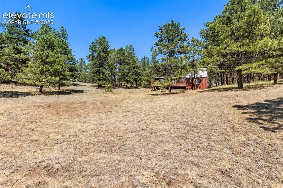 331 Rhyolite Lane, Florissant, CO 80816 - #2