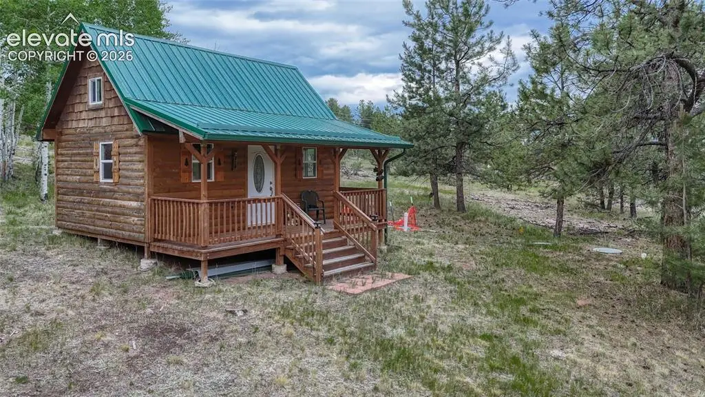 330 Arrowhead Drive, Florissant, CO 80816 - #1