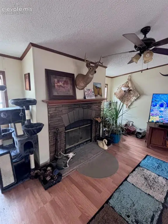 4758 Copper Gulch Road, Cotopaxi, CO 81223 - #3