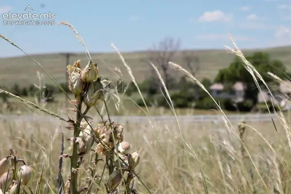 Tract 8 Mcclelland Road, Calhan, CO 80808