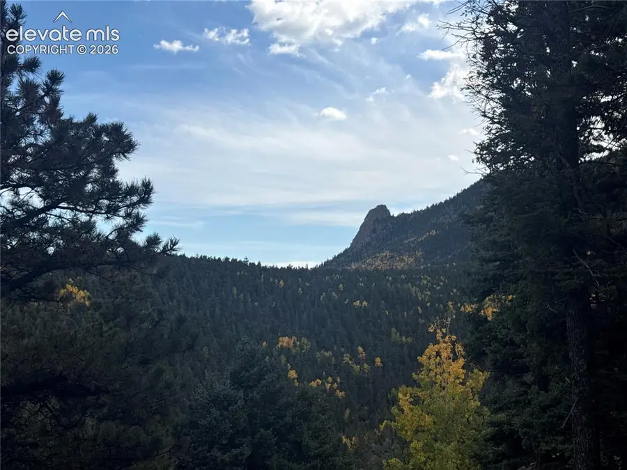 336 Ponderosa View, Manitou Springs, CO 80829 - #3
