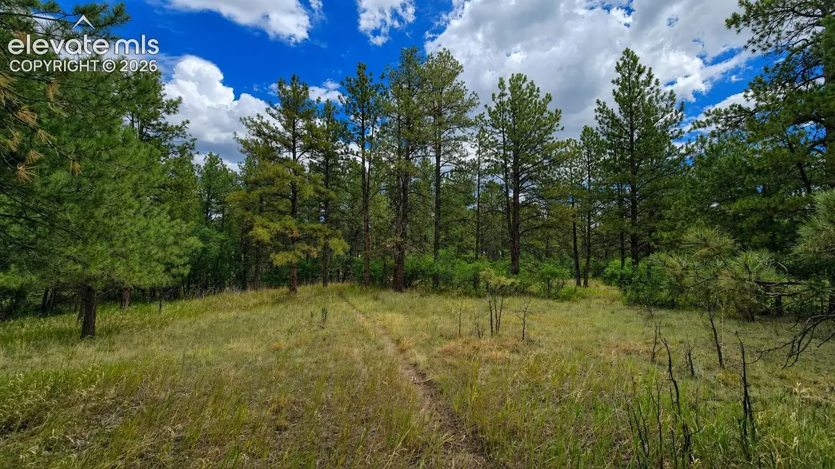 00 Westwood Road, Colorado Springs, CO 80919 - #1