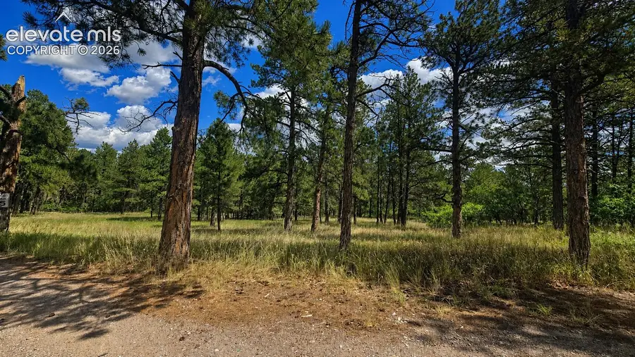 00 Westwood Road, Colorado Springs, CO 80919 - #2