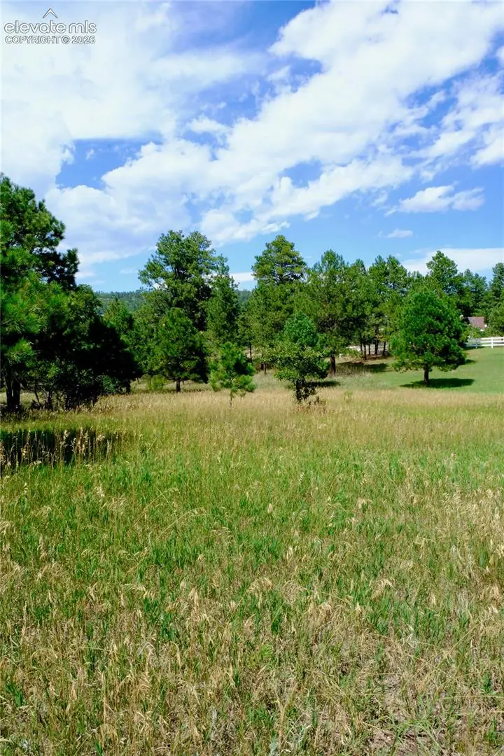 19953 Vista Clara Lane, Monument, CO 80132 - #1