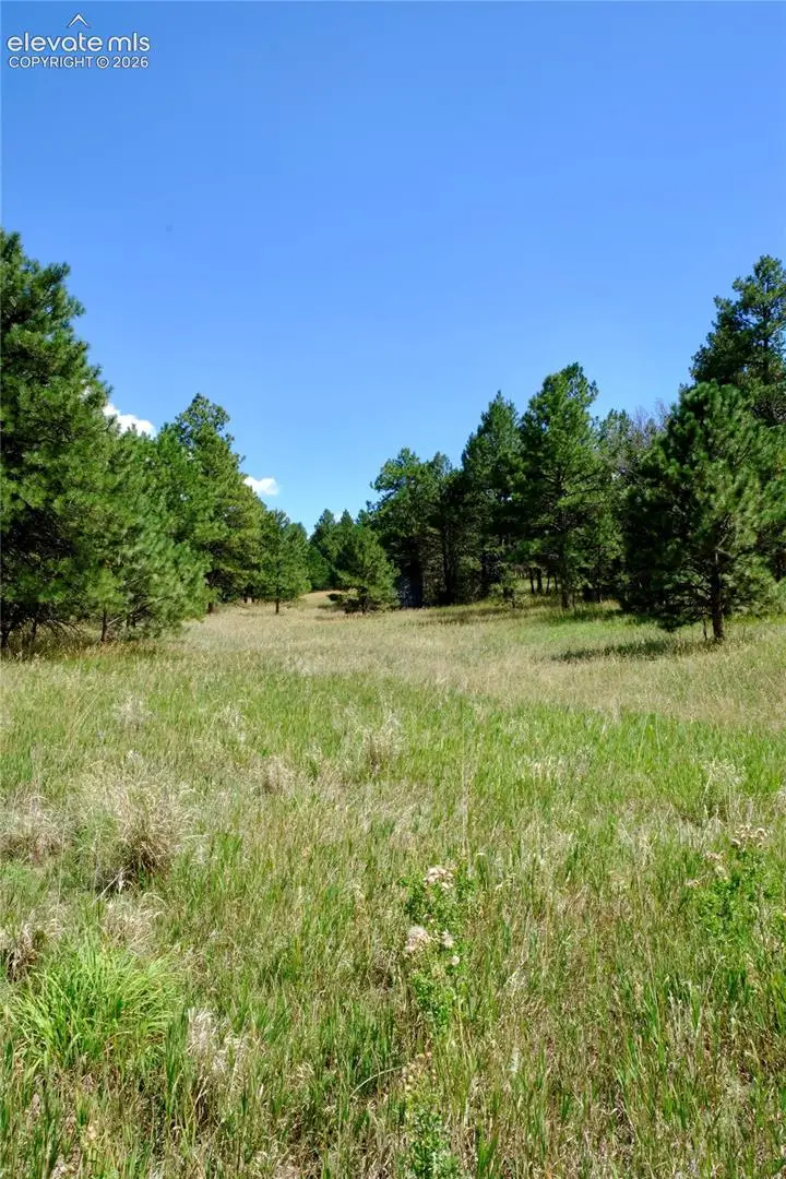 19953 Vista Clara Lane, Monument, CO 80132 - #3