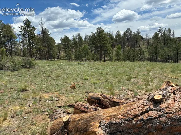 266 Chapparal Trail, Florissant, CO 80816