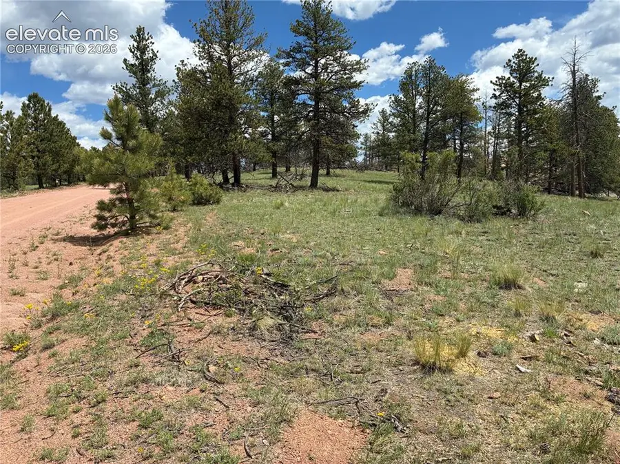 266 Chapparal Trail, Florissant, CO 80816 - #2