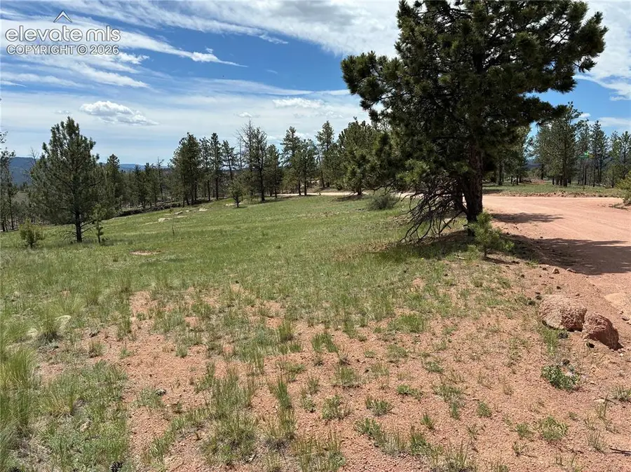266 Chapparal Trail, Florissant, CO 80816 - #3