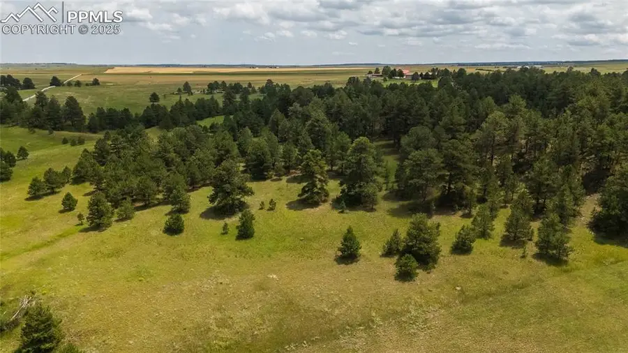 11771 E Smith Road, Elbert, CO 80106 - #2