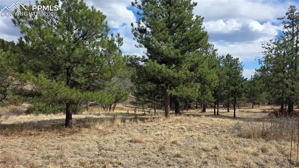 2002 Comanche Circle, Florissant, CO 80816 - #1