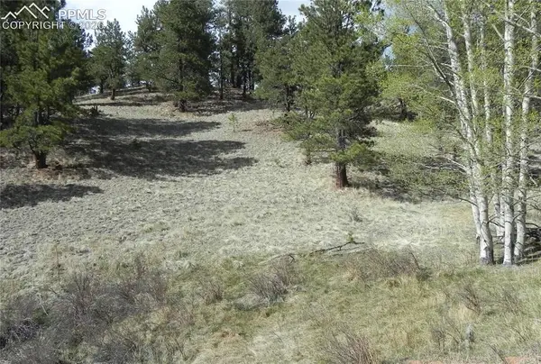 1699 Monarch Drive, Cripple Creek, CO 80813
