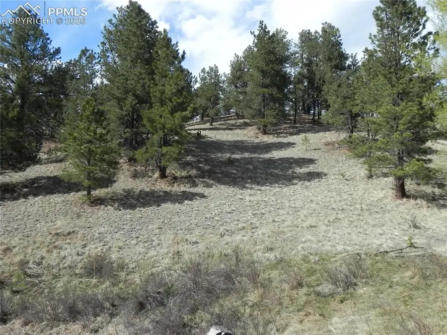 1699 Monarch Drive, Cripple Creek, CO 80813 - #2