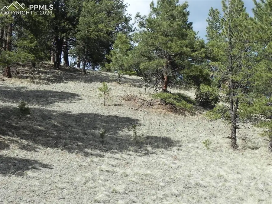 1699 Monarch Drive, Cripple Creek, CO 80813 - #3