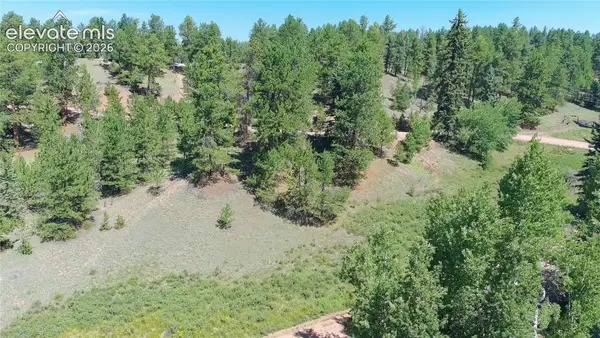719 Spring Valley Lane, Florissant, CO 80816