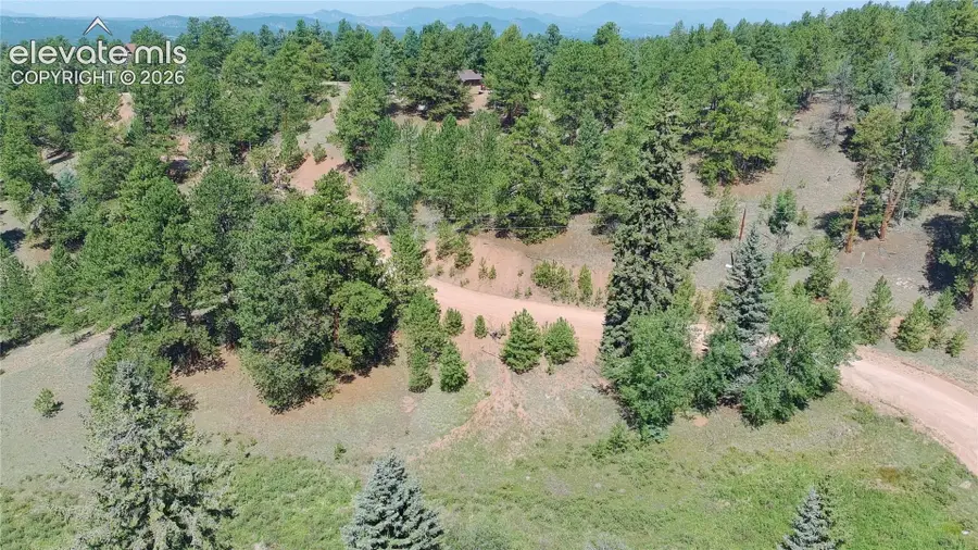 719 Spring Valley Lane, Florissant, CO 80816 - #3