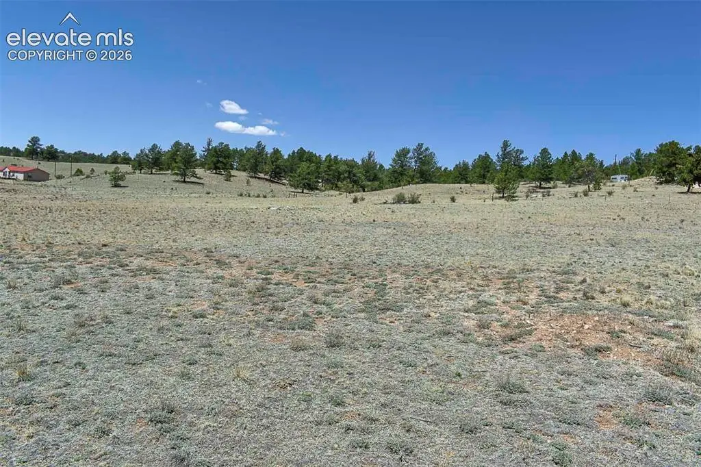 1999 Arapaho Trail, Hartsel, CO 80449 - #1