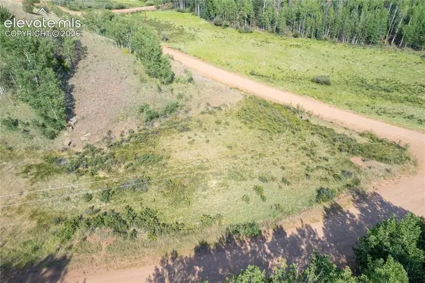2031 Gold King Drive, Cripple Creek, CO 80813