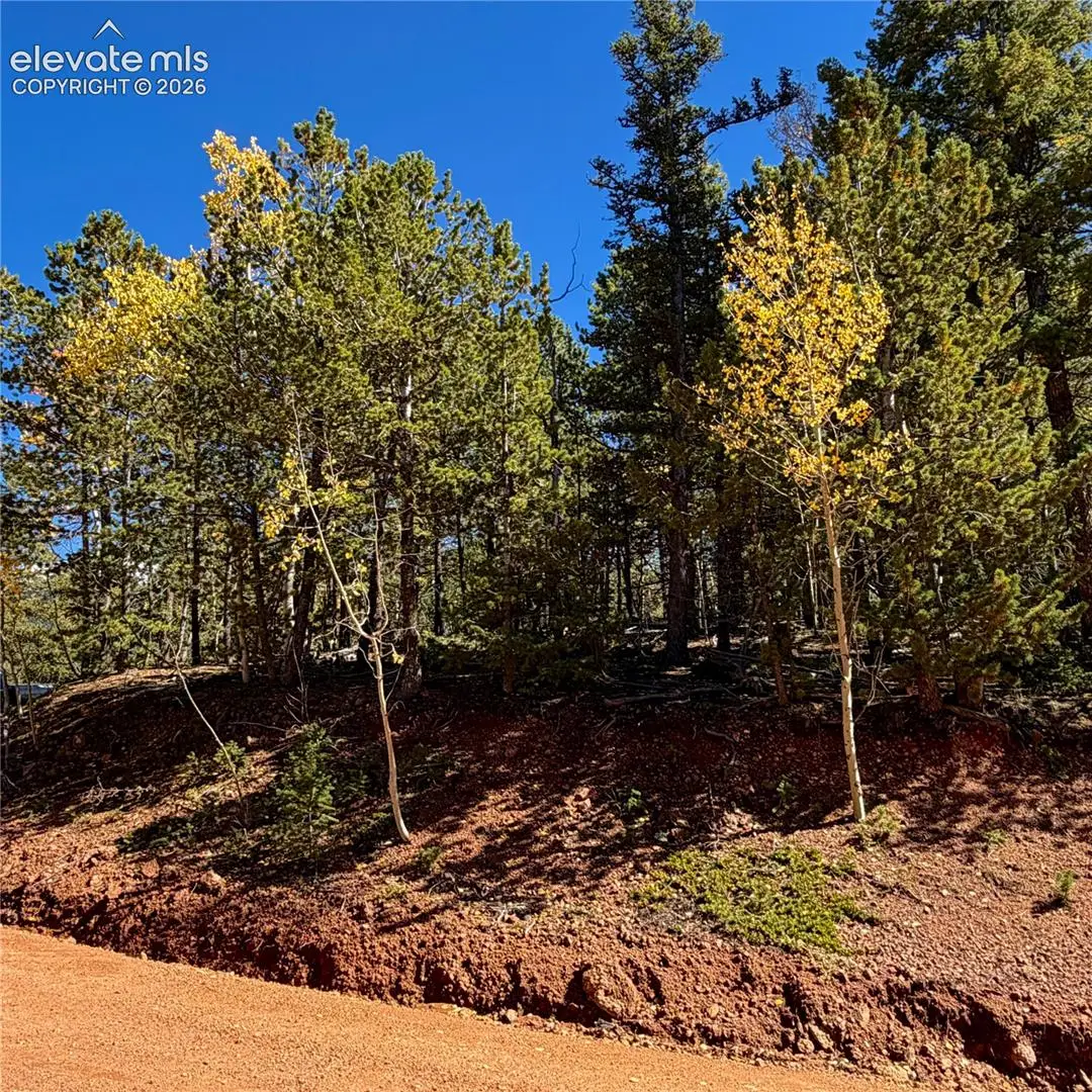 624 Witherite Drive, Divide, CO 80814 - #1