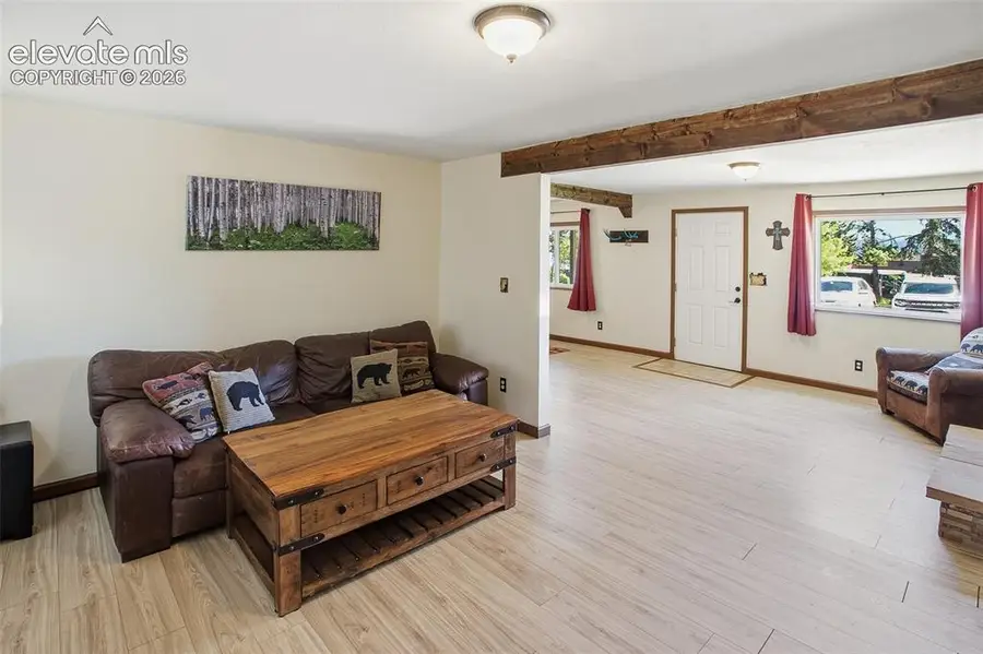 111 N Pine Street, Woodland Park, CO 80863 - #3