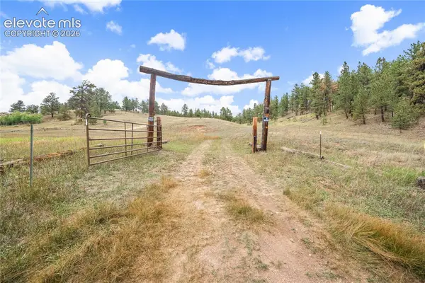 8567 County Road 3, Divide, CO 80814