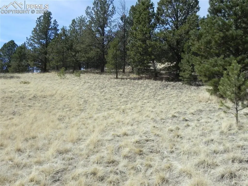1058 Monarch Drive, Cripple Creek, CO 80813 - #1