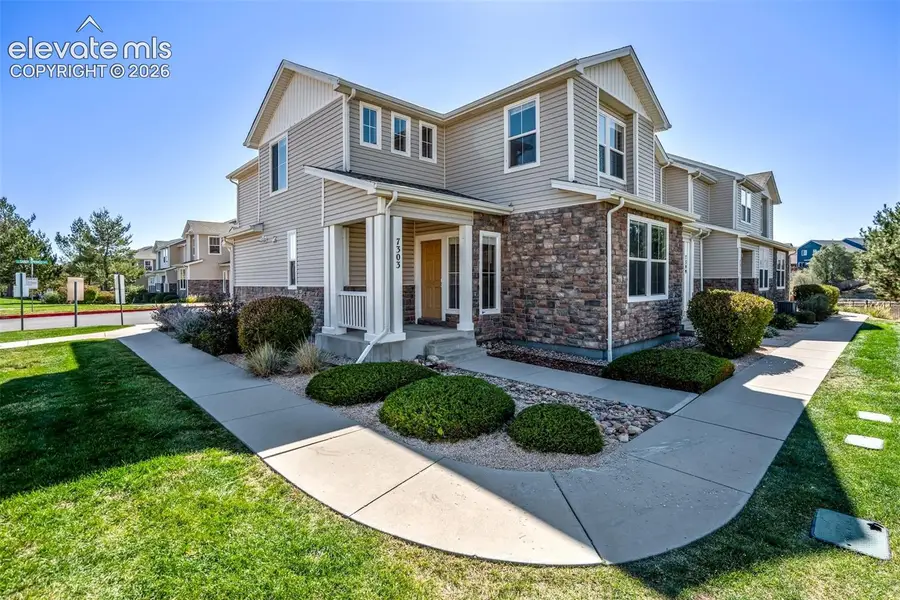 7303 Sandy Springs Point, Fountain, CO 80817 - #2
