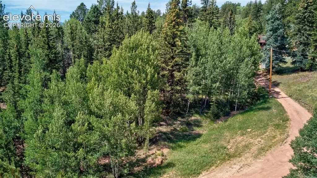 158 Rattler Court, Cripple Creek, CO 80813 - #1