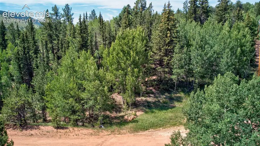158 Rattler Court, Cripple Creek, CO 80813 - #2