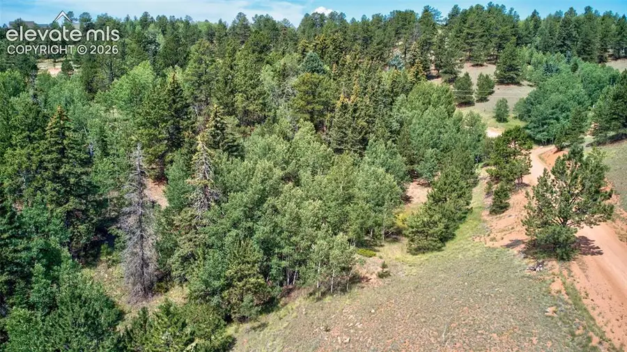 158 Rattler Court, Cripple Creek, CO 80813 - #3