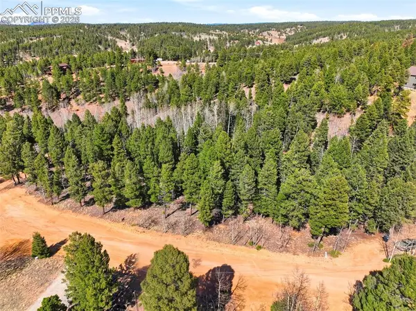 278 Cherry Lake Drive, Divide, CO 80814