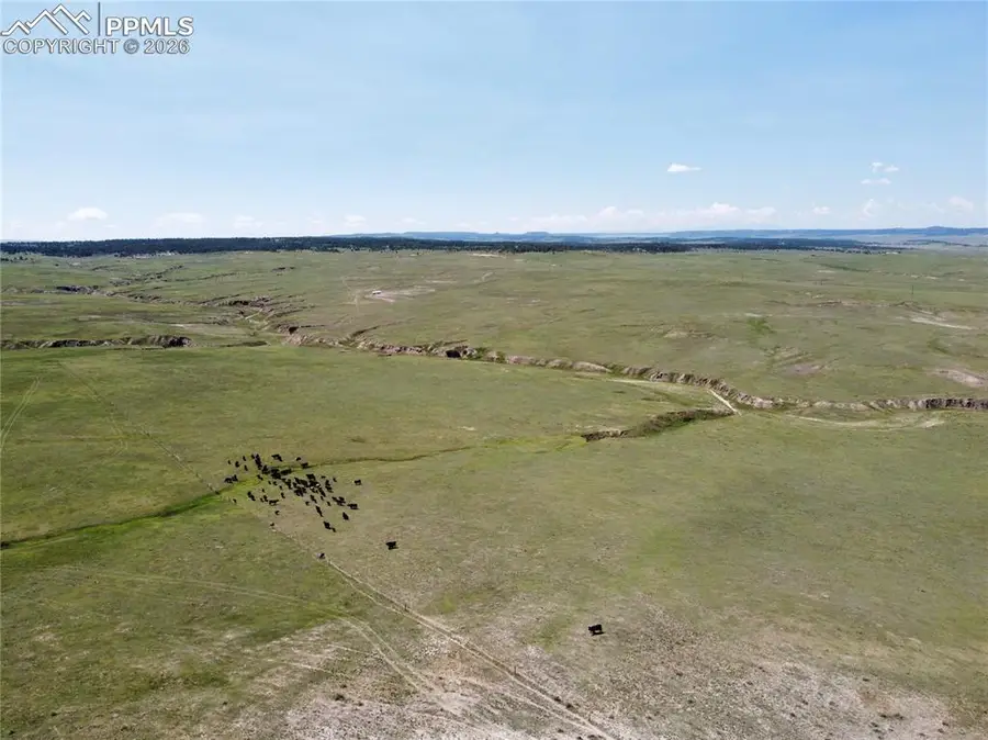 Lot 8 County Road 77, Calhan, CO 80808 - #3
