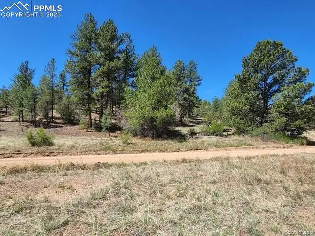 1385 Tumbleweed Road, Cotopaxi, CO 81223 - Image #1