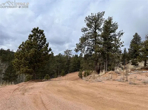 351 Dandy Jim Drive, Cripple Creek, CO 80813
