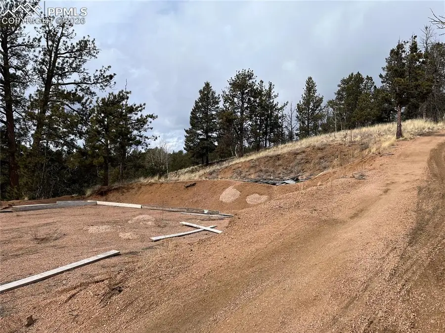 351 Dandy Jim Drive, Cripple Creek, CO 80813 - #3