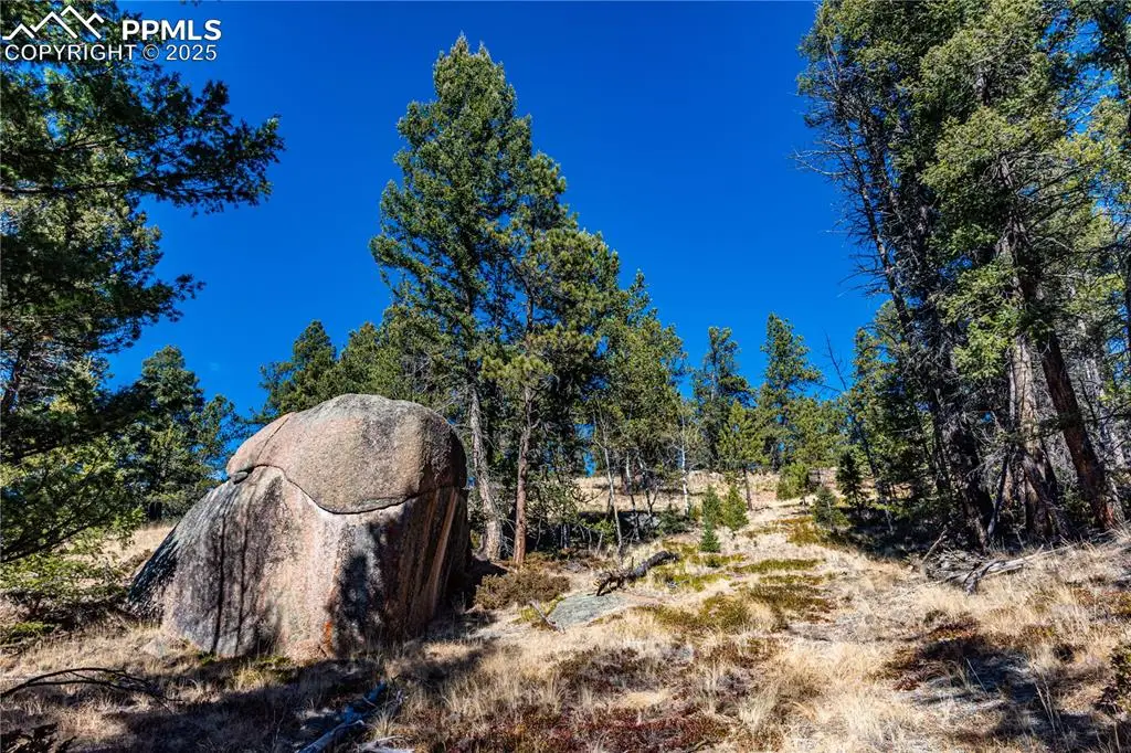 TBD Arrowhead Road, Florissant, CO 80816 - Image #1
