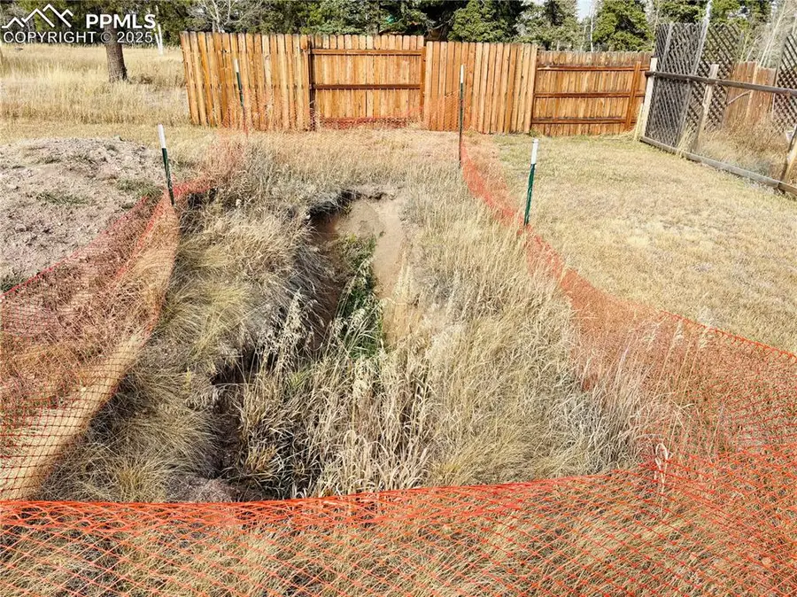 799 Elfin Glen Drive, Divide, CO 80814 - Image #3