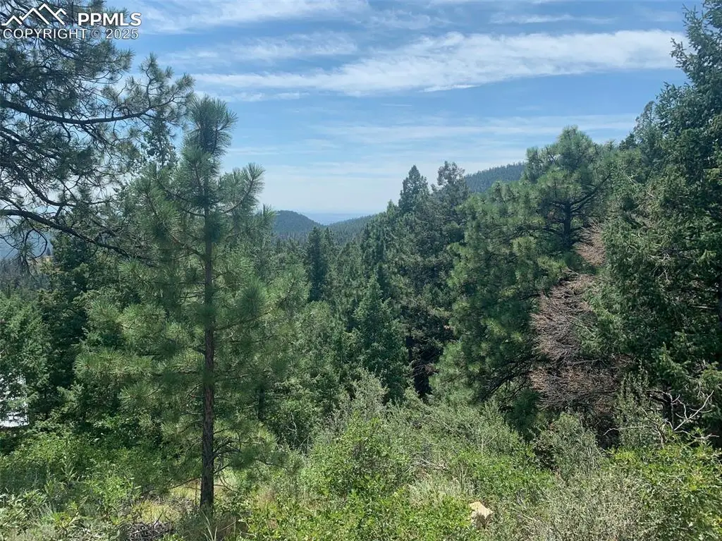 3435 Little Turkey Creek Road, Colorado Springs, CO 80926 - #1