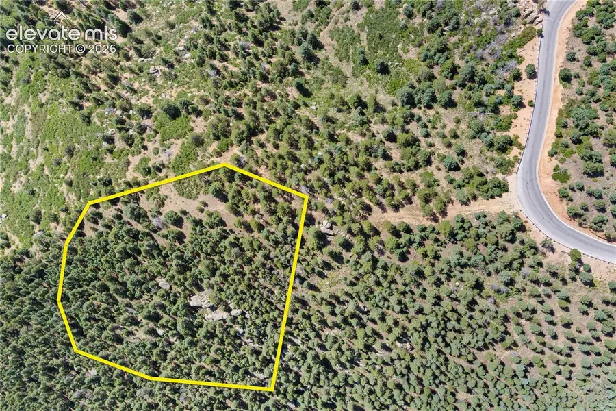 276 Crystal Park Road, Manitou Springs, CO 80829 - #3