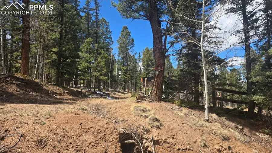 129 Mt Elbert Road, Florissant, CO 80816 - #3