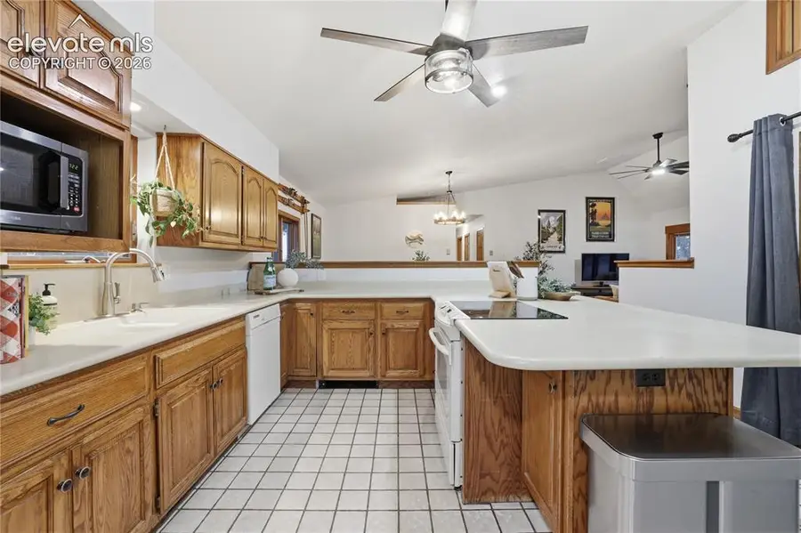 18190 Forest View Road, Monument, CO 80132 - #3