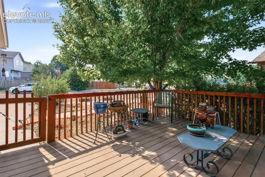 5370 Balsam Street, Colorado Springs, CO 80923 - #3