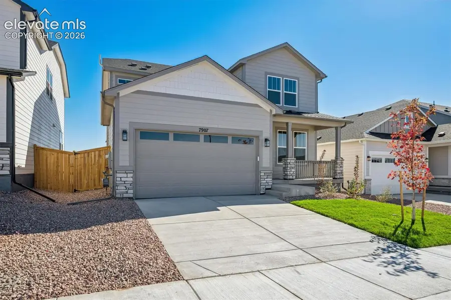 7907 Grey Bark Way, Colorado Springs, CO 80908 - #2